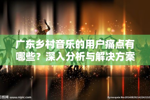 广东乡村音乐的用户痛点有哪些？深入分析与解决方案