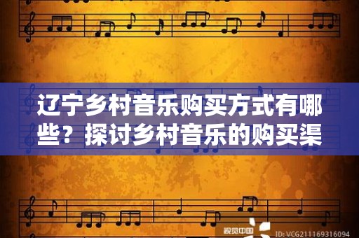 辽宁乡村音乐购买方式有哪些？探讨乡村音乐的购买渠道