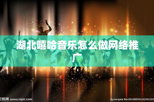 湖北嘻哈音乐怎么做网络推广