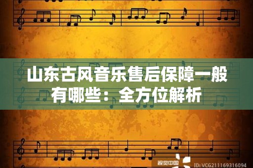 山东古风音乐售后保障一般有哪些：全方位解析
