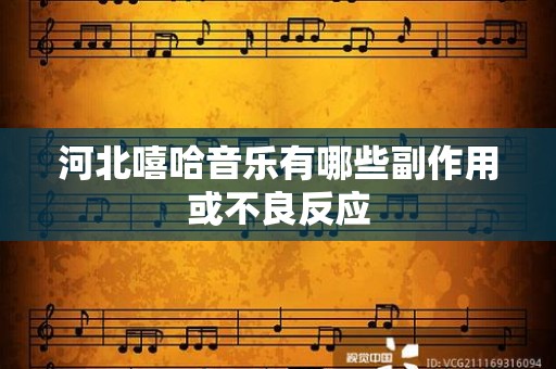 河北嘻哈音乐有哪些副作用或不良反应