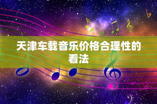 天津车载音乐价格合理性的看法