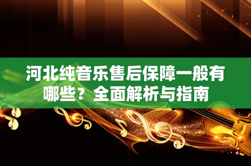 河北纯音乐售后保障一般有哪些？全面解析与指南