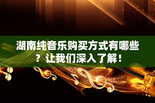 湖南纯音乐购买方式有哪些？让我们深入了解！