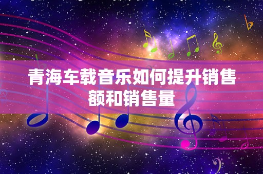 青海车载音乐如何提升销售额和销售量