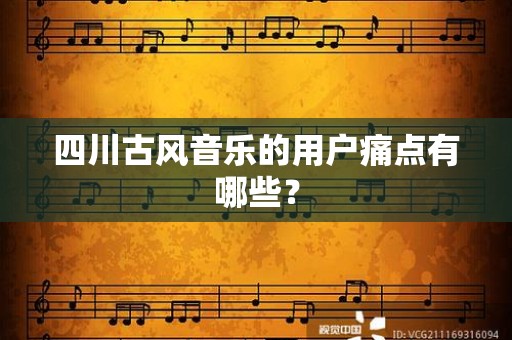 四川古风音乐的用户痛点有哪些？