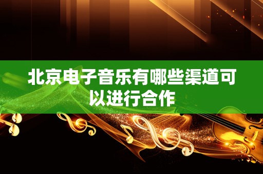 北京电子音乐有哪些渠道可以进行合作